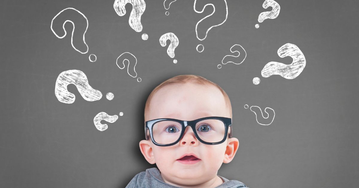 Teaching And Coaching With The Brain In Mind Laura Fish Consulting